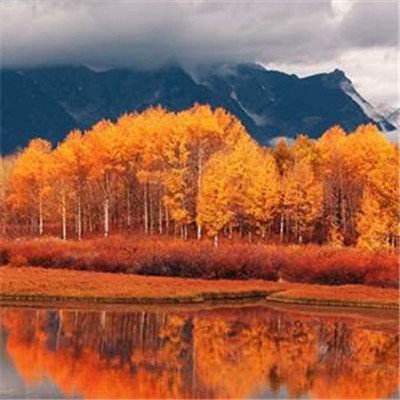 星空体育棋牌截图